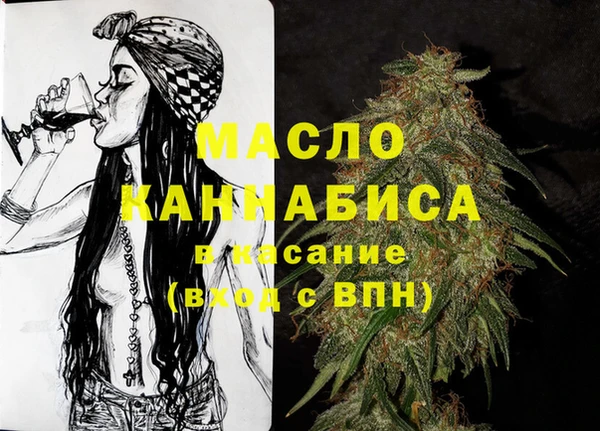 индика Аркадак