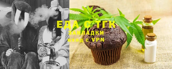 индика Аркадак