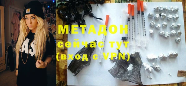 индика Аркадак