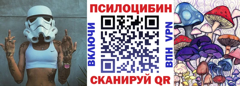 нарко площадка формула  как найти наркотики  Пучеж  Псилоцибиновые грибы Psilocybine cubensis 